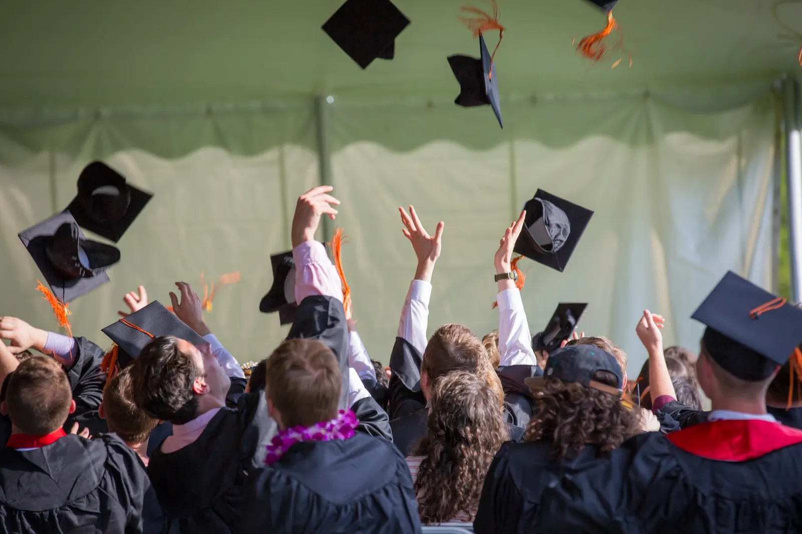 Fewer Students are Taking Chinese at University. But Online Self Directed Learning is Booming!