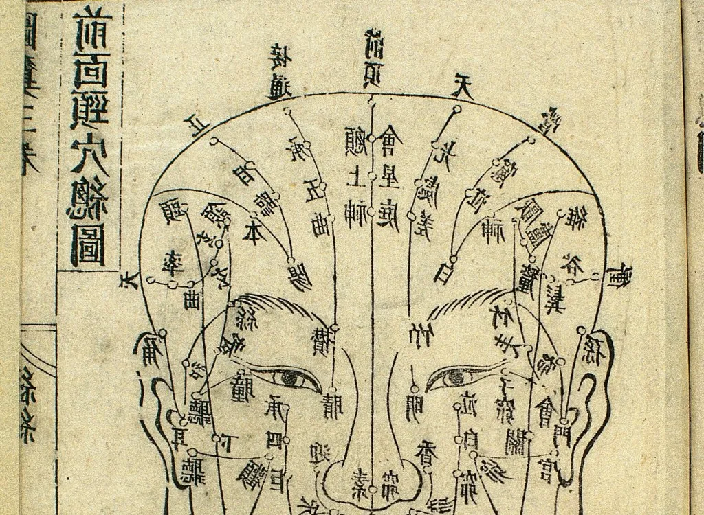 Learning to Listen: The Neuroscience of Language Learning